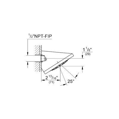 Grohe 27254000 Rainshower F Series Wall Mount Shower Head Chrome 2