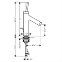 Hansgrohe 10111251 Single-Hole Faucet 90 With Pop-Up Drain 1.2 Gpm