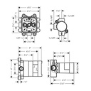 Hansgrohe 35361181 Rough Showerhead 2-Jet With Showerarm