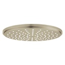 Grohe 27814EN1 Rainshower Cosmopolitan 210 Shower Head Brushed Nickel 1