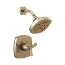 Delta T142766 Stryke 14 Series Shower Only Champagne Bronze 1