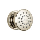 Delta 50102 Surface Mount Body Spray Polished Nickel 1