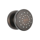 Delta 50102 Surface Mount Body Spray Venetian Bronze