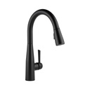 Delta 9113 Essa Single Handle Pull Down Kitchen Faucet Matte Black