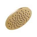 Brizo 81392 Round Raincan Showerhead Polished Gold